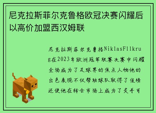 尼克拉斯菲尔克鲁格欧冠决赛闪耀后以高价加盟西汉姆联
